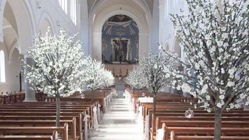 The Wicklow couple's wedding was delayed by an hour by the ordeal.