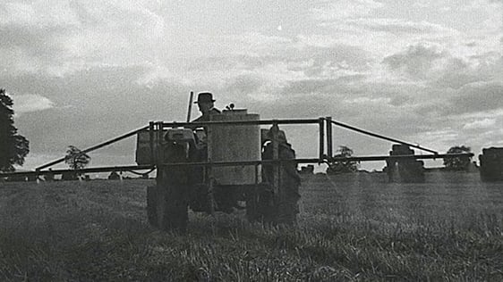 Insecticides in Farming