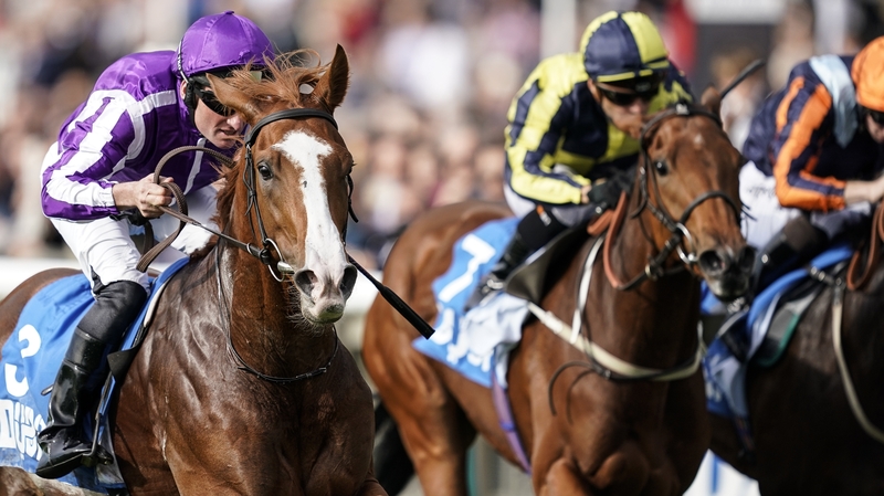 Seamie Heffernan aboard Norway (l)