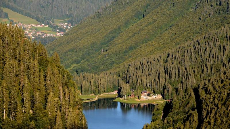 The incident took place near Montriond in the French Alps