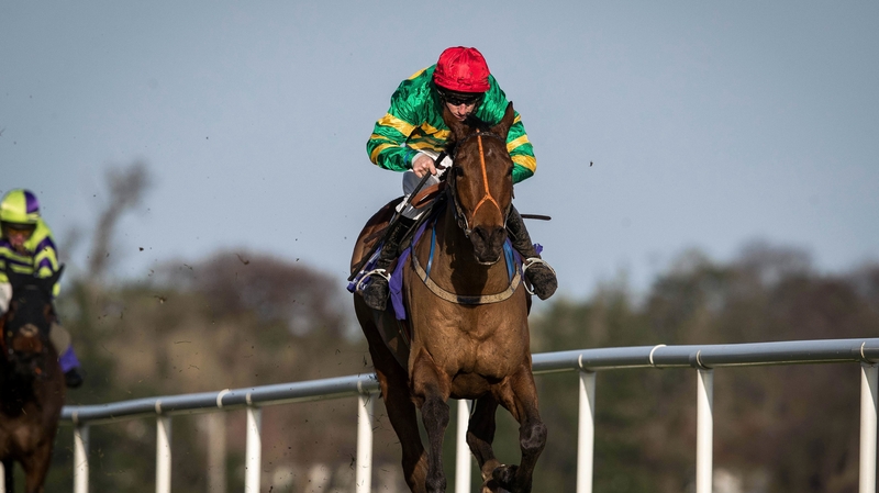 Spider Web took the feature in Limerick