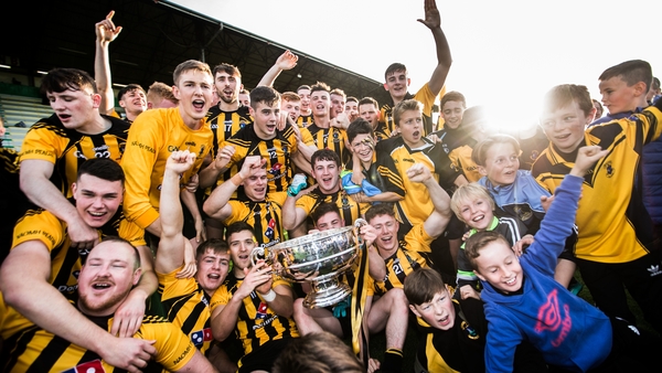 Dunboyne players and supporters celebrate after the game with the trophy