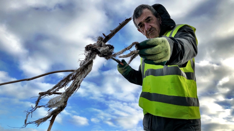 A rope of wet wipes found on the beach: Coastwatch says many people are still flushing wipes