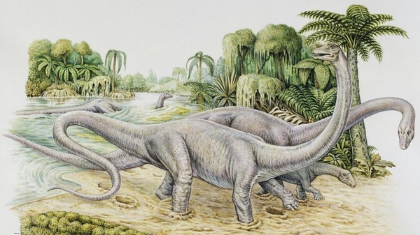 Diplodocus sp, Diplodocidaee, Late Jurassic (Illustration - DeAgostiniGetty Images)