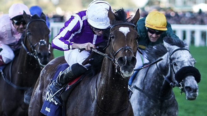 Magical could line up in next month's Prix de l'Arc de Triomphe if she satisfies connections on Saturday