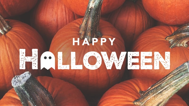 Pumpkins are a key part of the spooky season