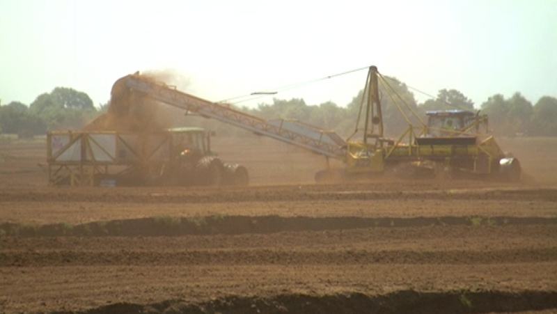 Bord na Móna recently announced that that up to 430 workers are to be made redundant