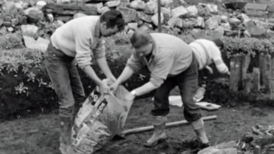 High Street Excavation (1968)