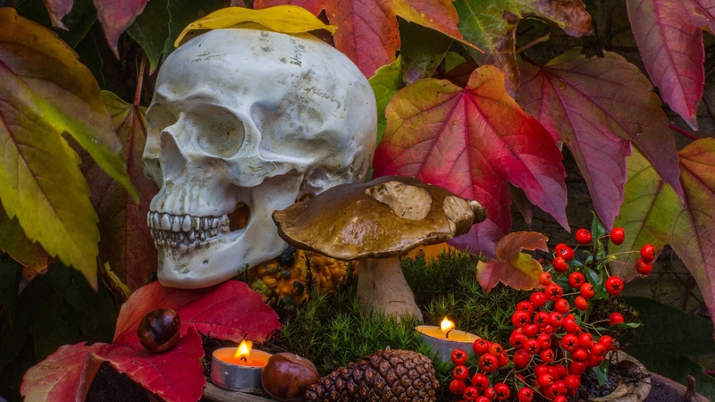 Halloween horticulture is the next frontier in festive decoration
