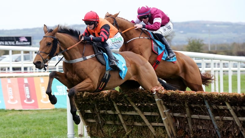 Bedrock (left) missed the Ryanair Hurdle at Leopardstown