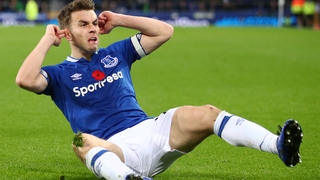 Ireland captain Seamus Coleman celebrates his goal