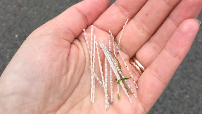 The shards of plastic were released into the sea by the developers of the new Dún Laoghaire Baths site