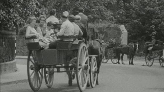Killarney Jarvey Car