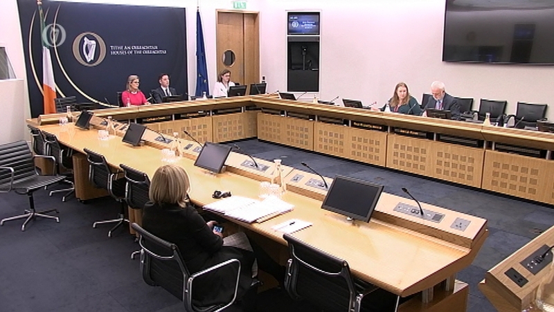 The committee heard from two members of the newly formed Expert Group on Traveller Accommodation