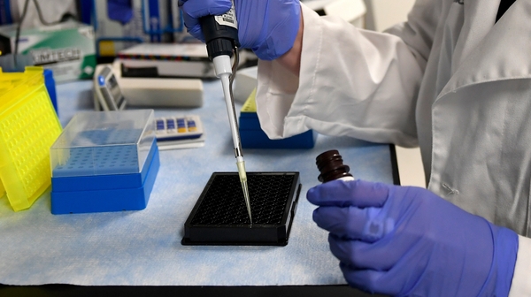 Stem cells have the potential to develop into any cell in the body
