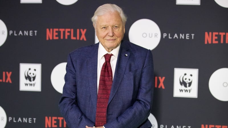David Attenborough - "Our Planet will take viewers on a spectacular journey of discovery, showcasing the beauty and fragility of our natural world"