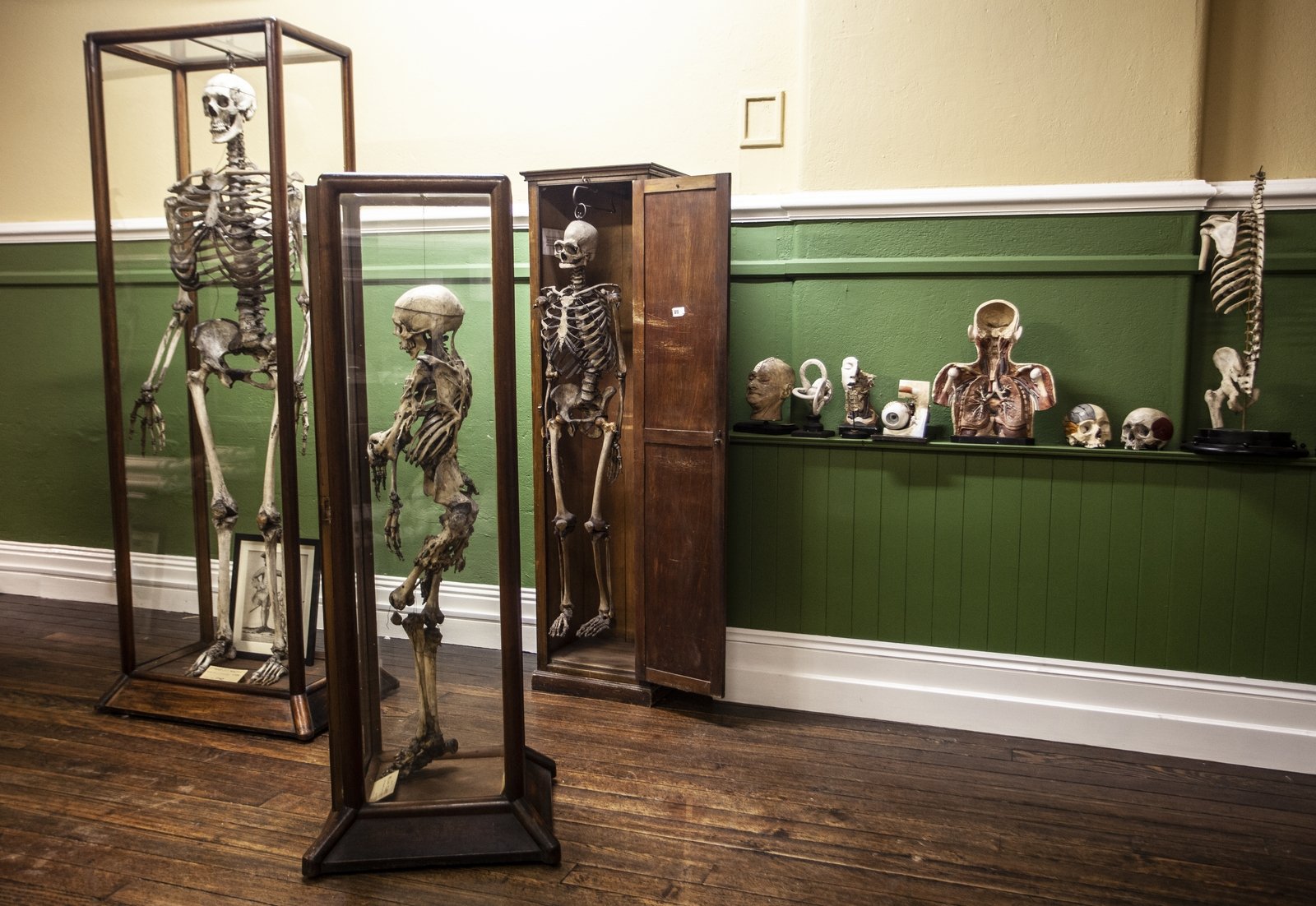 A view of the lower level of the museum gallery. Photo by Evi Numen.