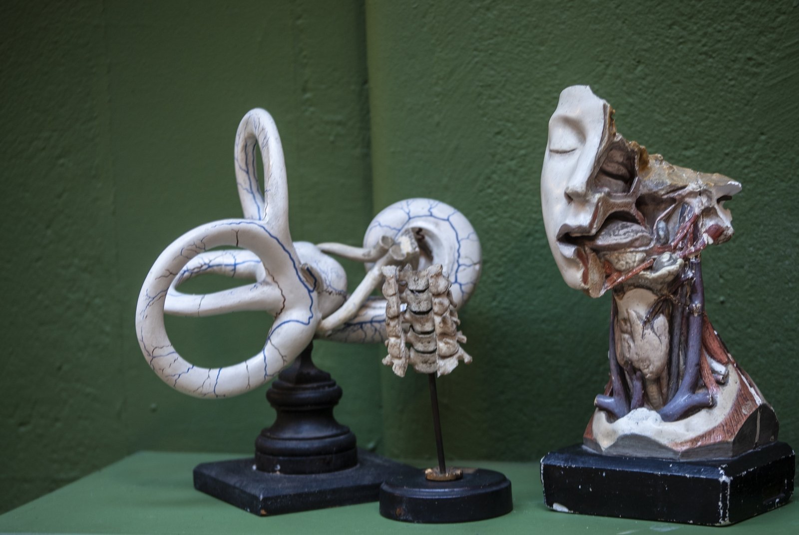 Photos by Evi Numen, Courtesy of the Trinity College Dublin Medical Museum.