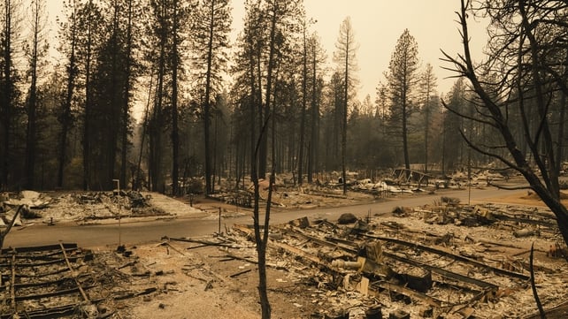 A view of a mobile home park that was destroyed by the Camp Fire in Paradise