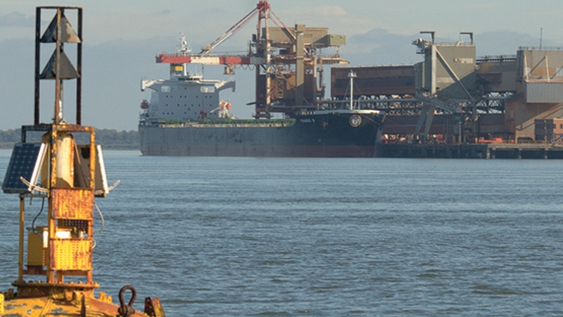 37,000-tonne shipment of the wood is due to arrive at Foynes Port from Australia next month