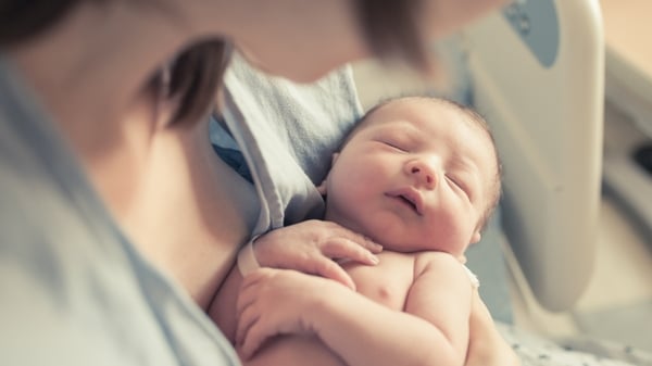 Food, warmth and security are the three essential things a baby needs.