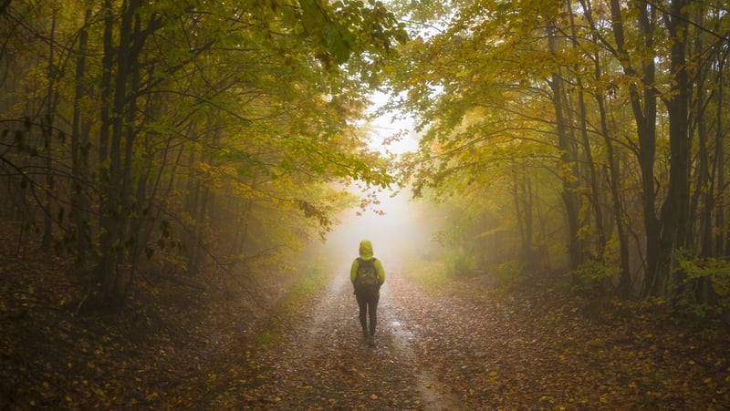 "We spend a considerable amount of time dreaming and daydreaming"