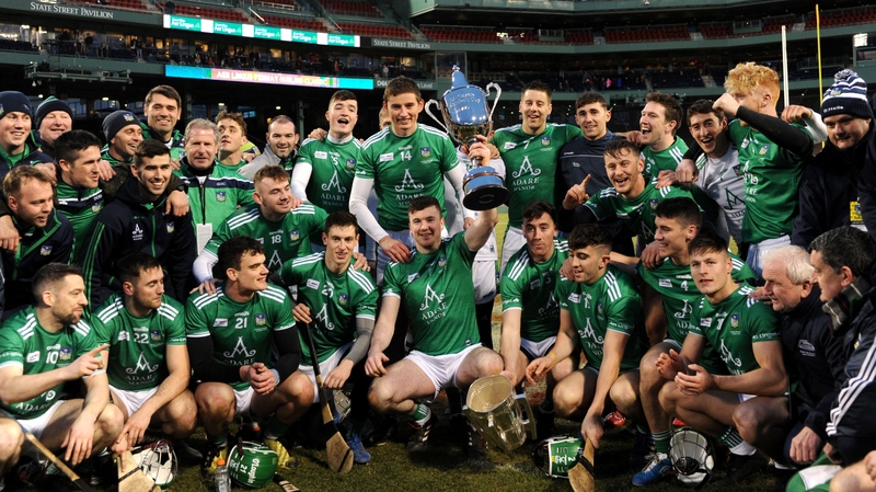 Limerick celebrate their victory