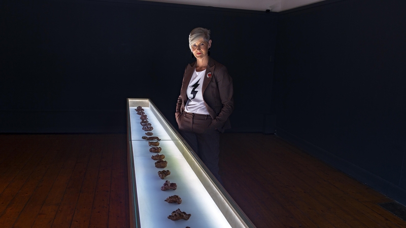 Alice Maher, at the Crawford Gallery, Cork. Pic: Michael McSweeny