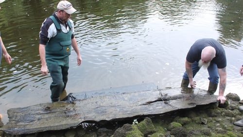 Anglers William Gregory and Stephen Murphy lift the logboat onto the river bank