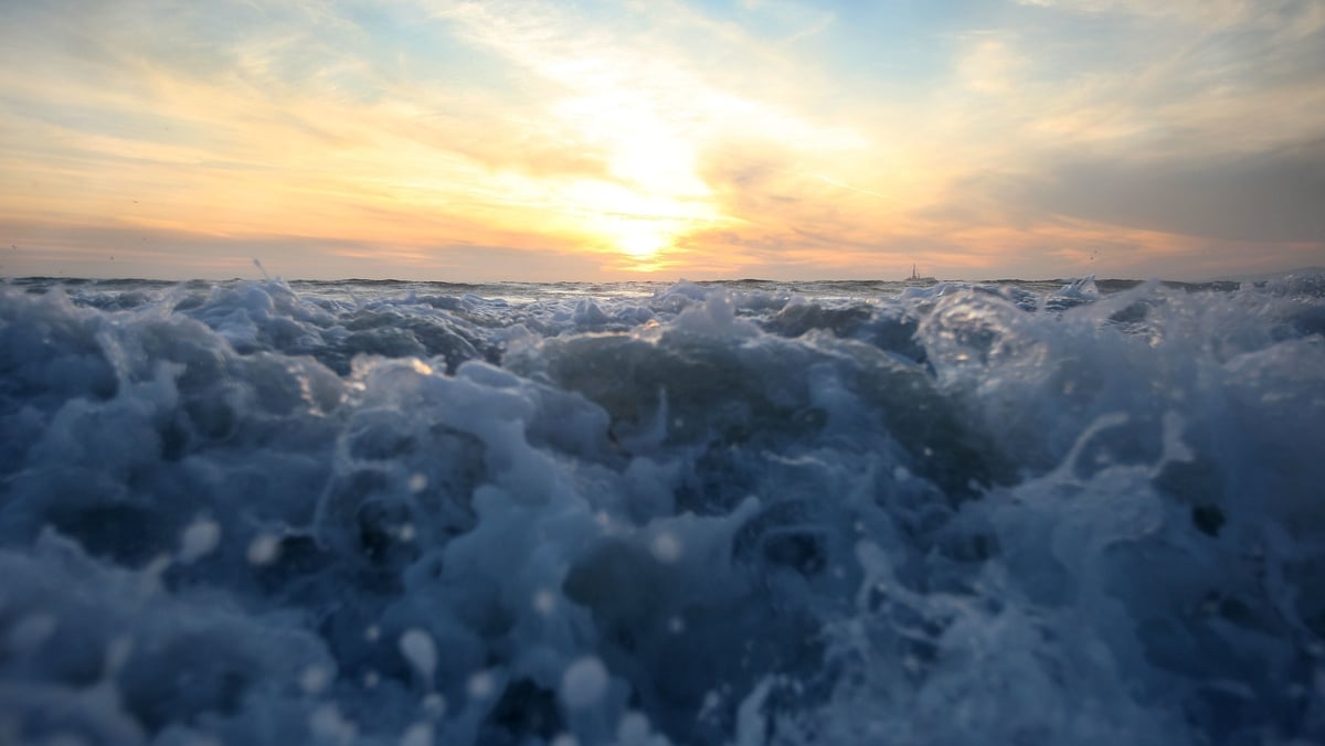 Recent warm weather has caused a marine heatwave