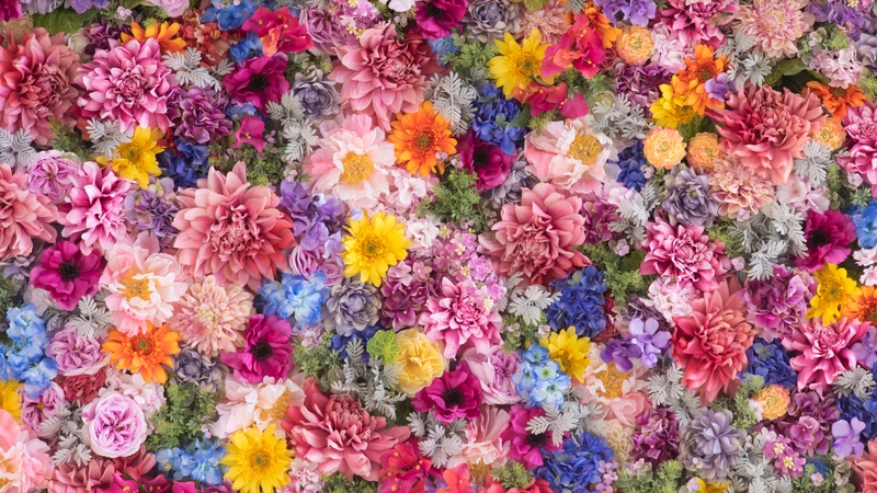 Did your favourite make the list?