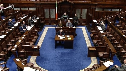 Amendments have been debated in the Dáil