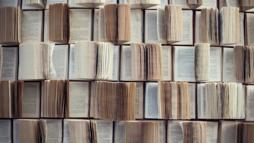 "One of the features of a paper dictionary is its bounded and finite coverage of language" Photo: iStock