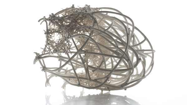 Nuala-O'Donovan. 'Coral-Skeletal' (Pic: Janice-O'Connell, F22 Photography)