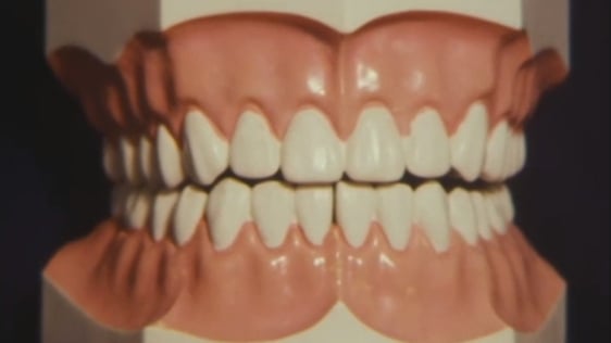 Are You Afraid Of The Dentist?