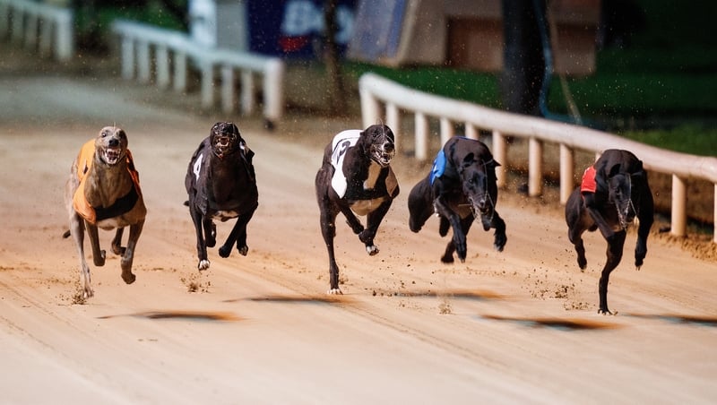 SIS's current greyhound package includes about 30,000 races a year