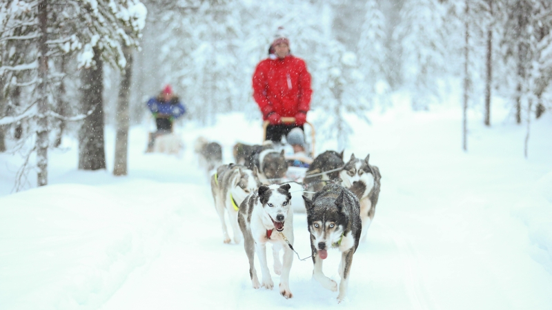There is no place on earth quite like Lapland.