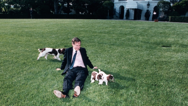 President George Bush sits on the White House lawn with spaniel Millie and puppies on 4 May 1989