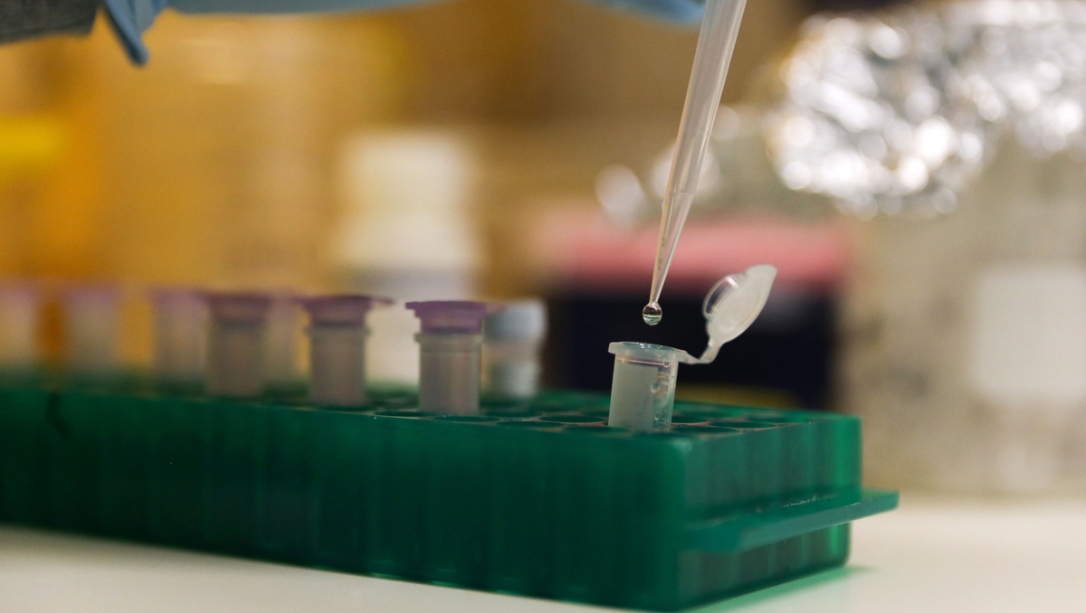 Advertising Databases