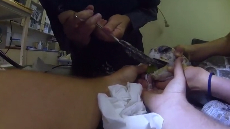 Image: Two Oceans Aquarium