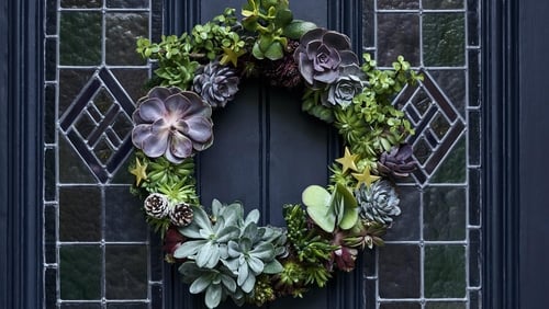 How to make your own Christmas wreath using succulents