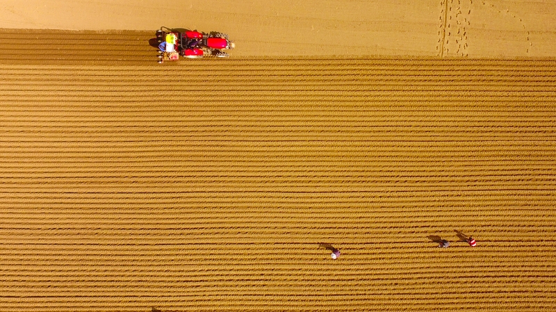"The modern tractor is also an integrated part of a drive towards what is called "precision agriculture"." Photo: VCG/VCG via Getty Images