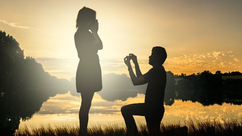 "Whatever the merits of lifting the restrictions on blood relationships, it is the legitimacy of the prohibitions on the basis of affinity that is especially open to question in Ireland"