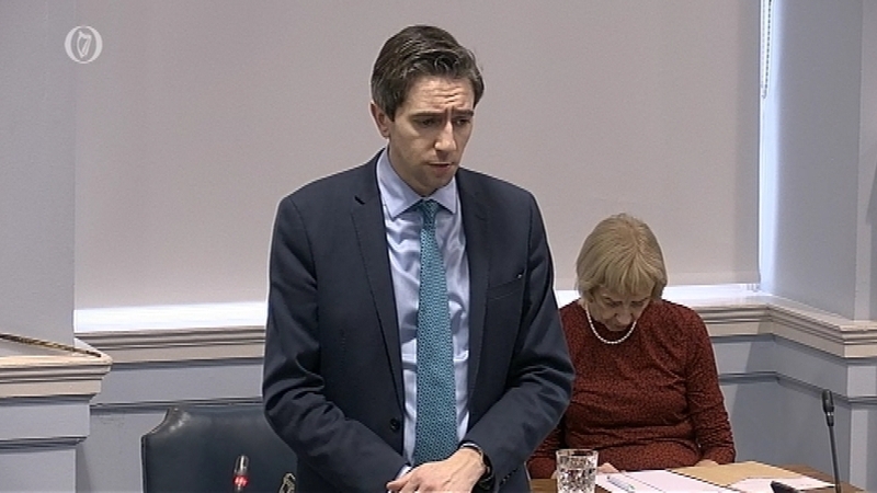 Minister for Health Simon Harris addressed the Seanad