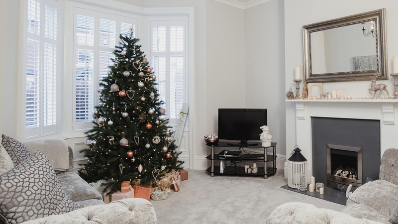 It turns out you should keep your Christmas tree as well-watered as your favourite fern