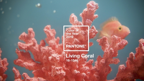 Pantone named "Living Colour" shade of the year for 2019