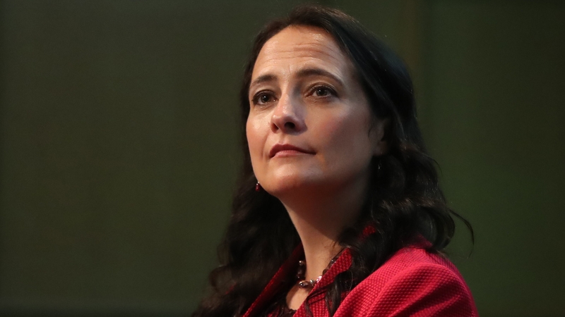 Catherine Martin has declared her intention to run for the leadership of the Green Party (file pic)