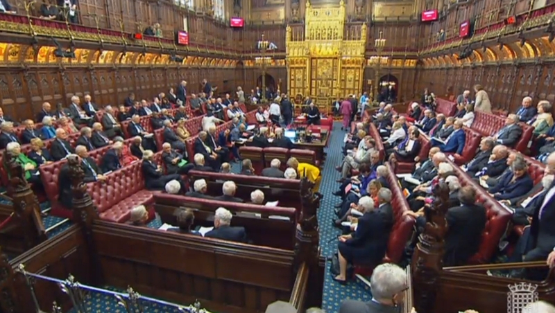The House of Lords committee accused the UK govt of making 'seemingly contradictory statements'