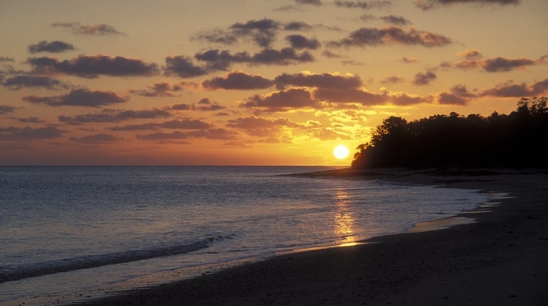 The president of the Marshall Islands said they were 'bearing the torch for those vulnerable to climate change'