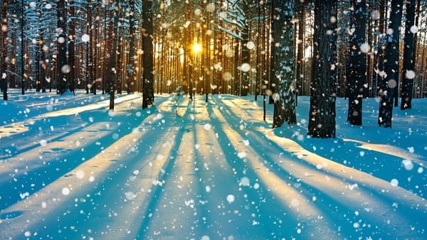 "A warmer planet would lead to floods, hurricanes, droughts and sea-level rises". Photo: iStock